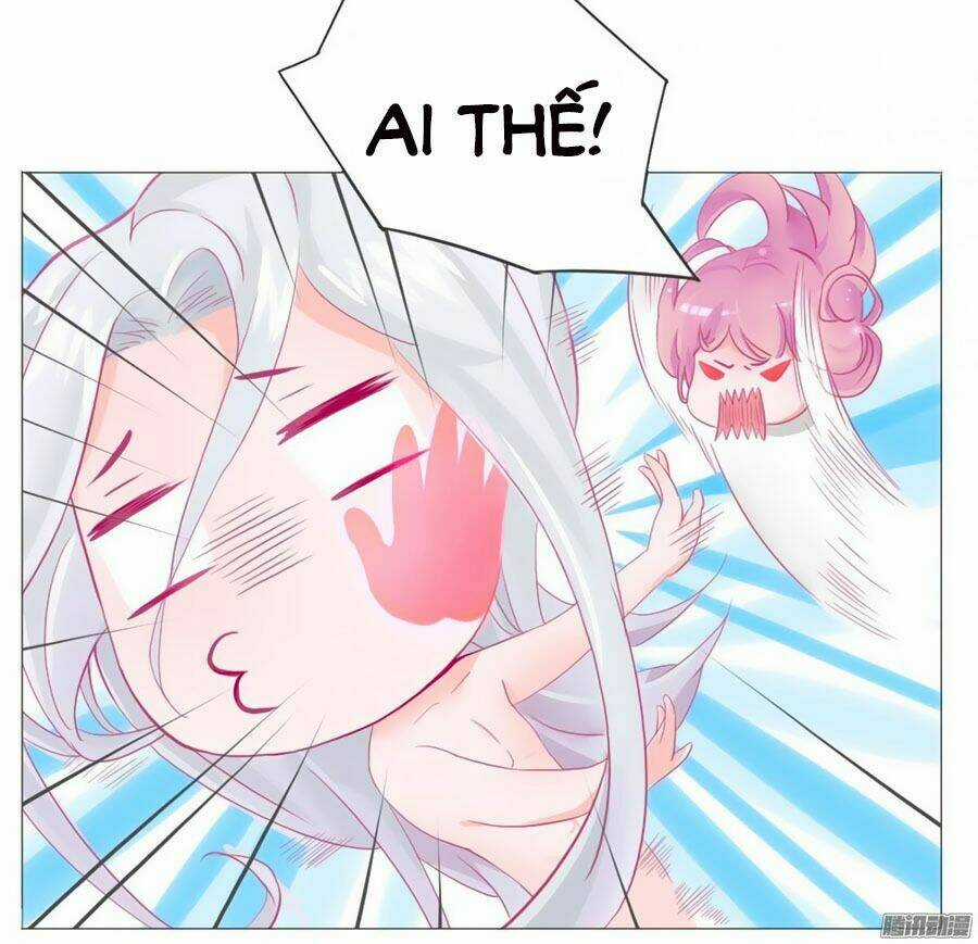 Hello Miêu Tiên Sinh - Chapter 1 - Trang 5