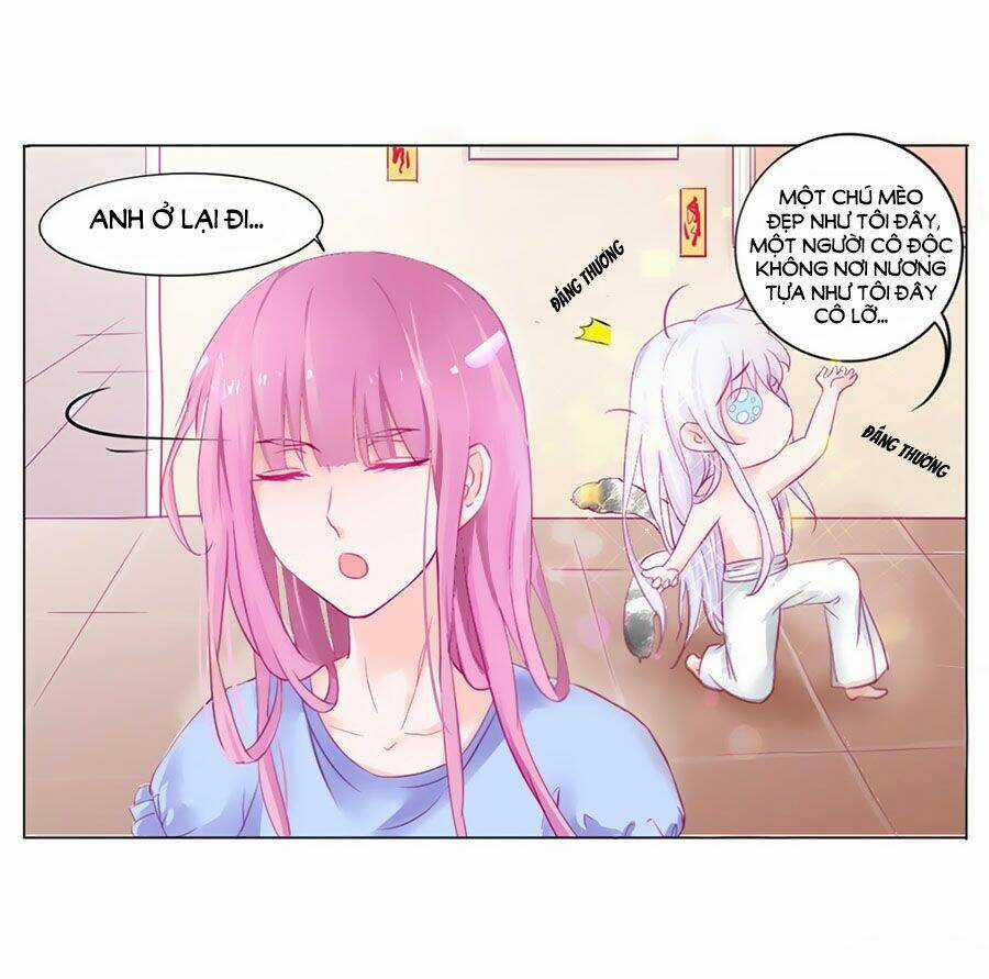 Hello Miêu Tiên Sinh - Chapter 2 - Trang 19