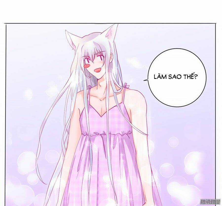 Hello Miêu Tiên Sinh - Chapter 2 - Trang 28