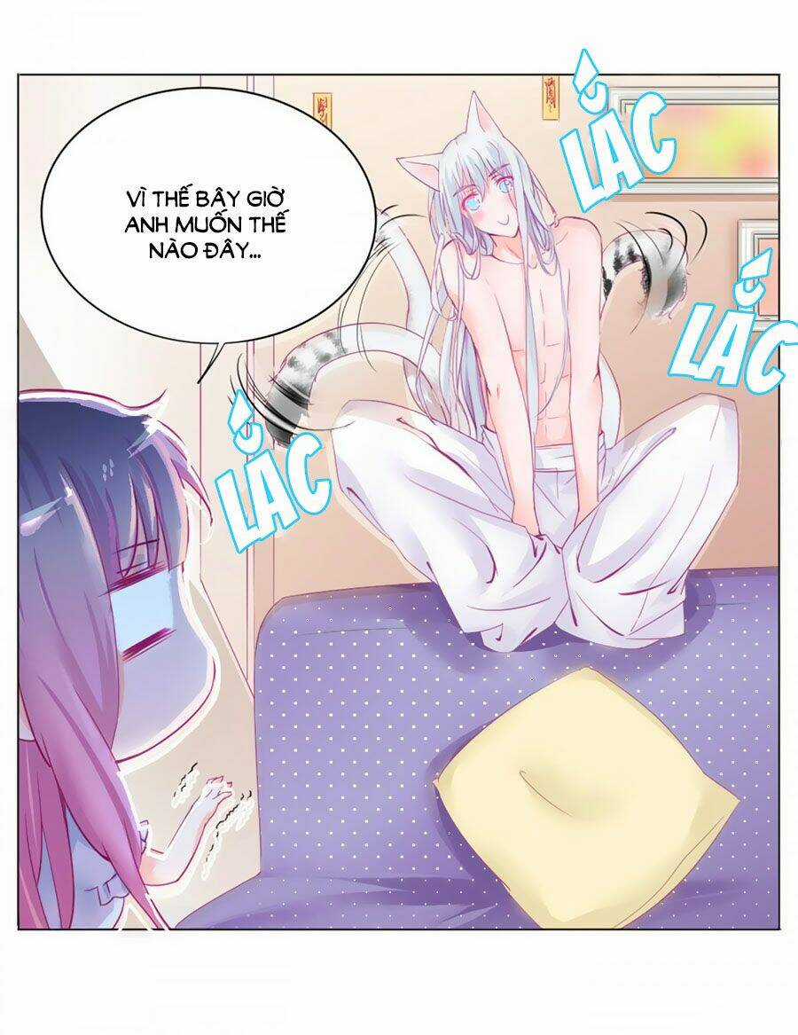 Hello Miêu Tiên Sinh - Chapter 2 - Trang 6