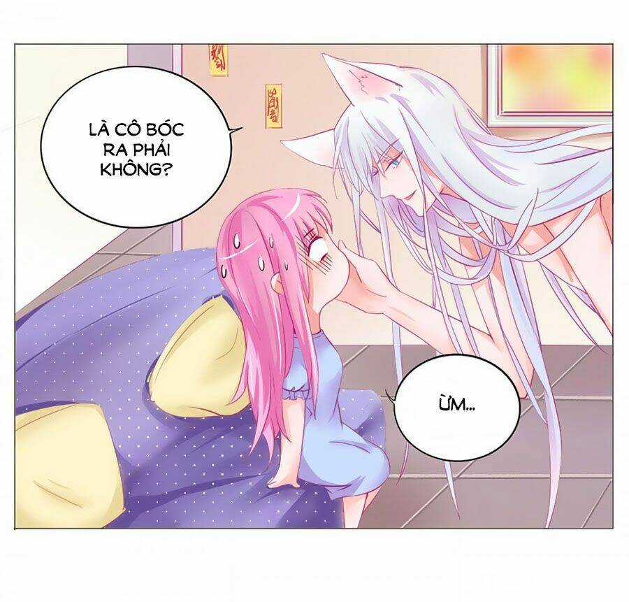 Hello Miêu Tiên Sinh - Chapter 2 - Trang 8