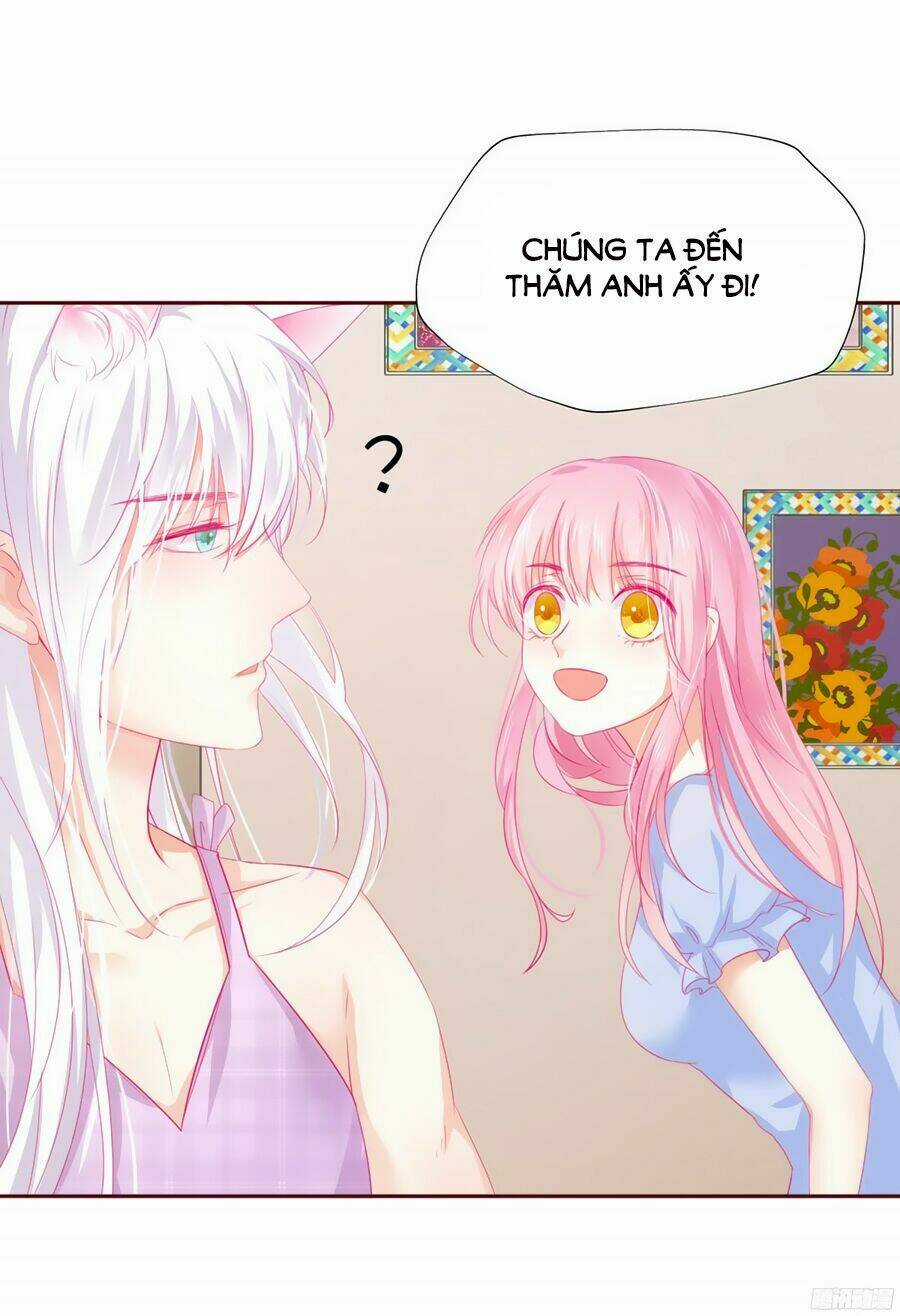 Hello Miêu Tiên Sinh - Chapter 4 - Trang 36