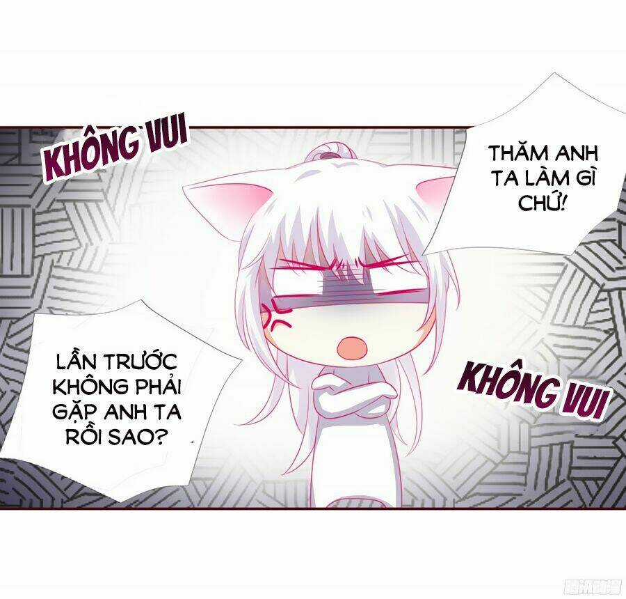 Hello Miêu Tiên Sinh - Chapter 4 - Trang 37