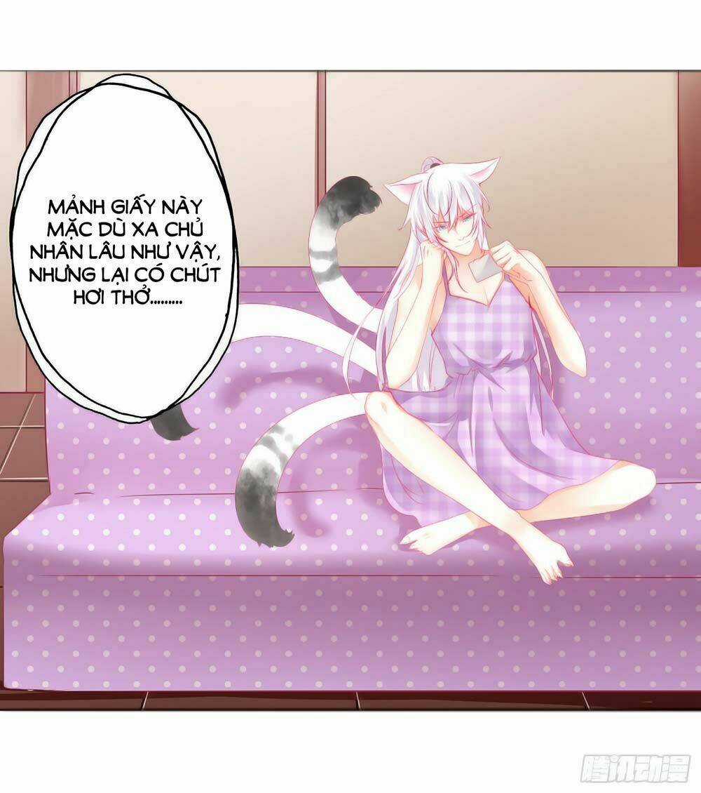 Hello Miêu Tiên Sinh - Chapter 5 - Trang 13