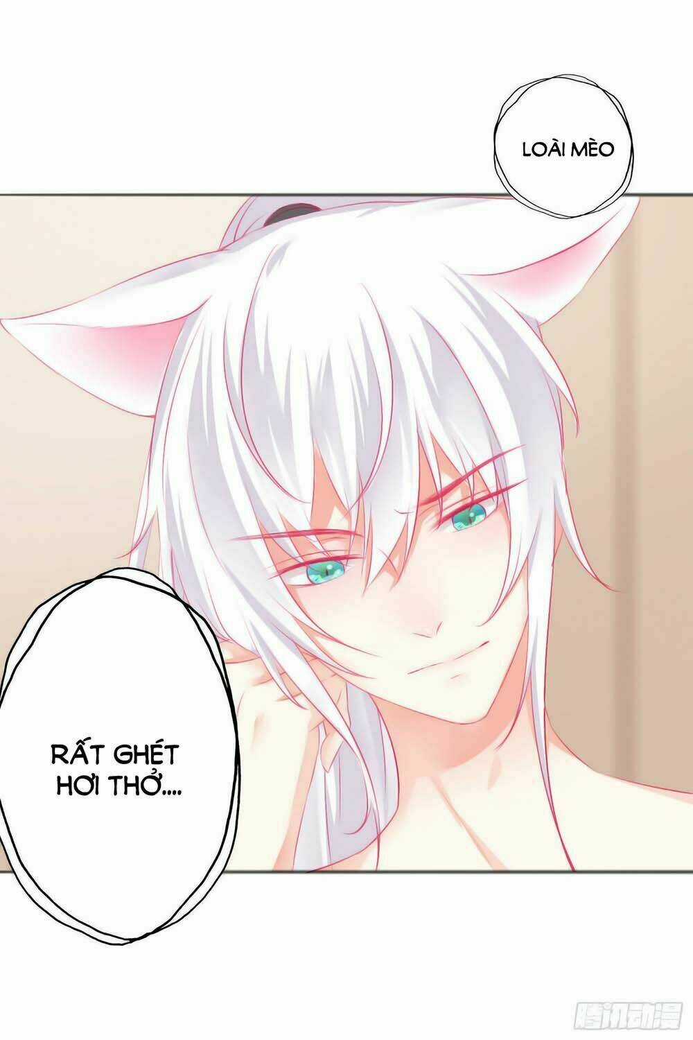 Hello Miêu Tiên Sinh - Chapter 5 - Trang 14