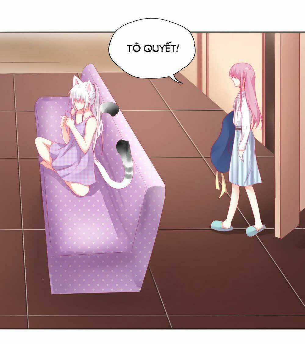 Hello Miêu Tiên Sinh - Chapter 5 - Trang 15