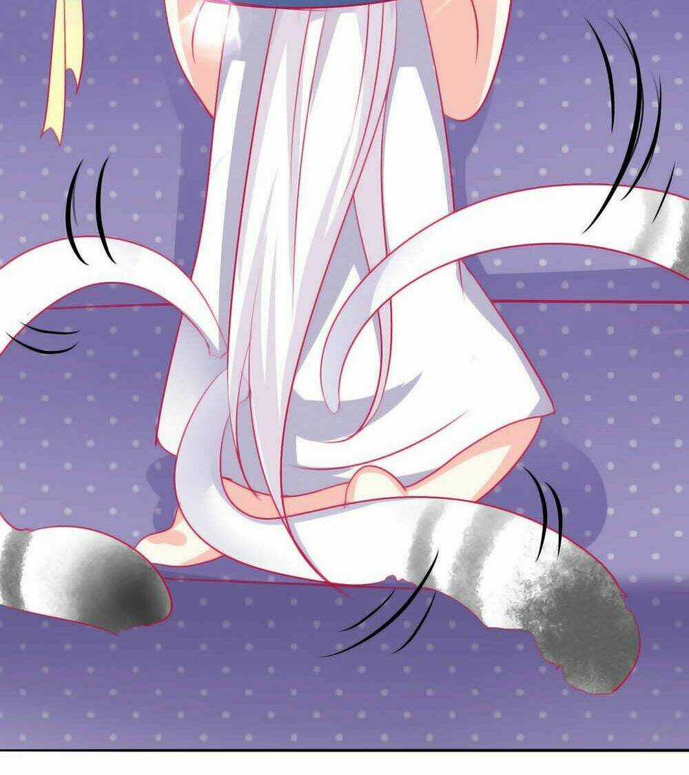 Hello Miêu Tiên Sinh - Chapter 5 - Trang 22