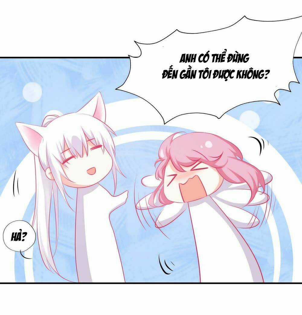 Hello Miêu Tiên Sinh - Chapter 5 - Trang 4
