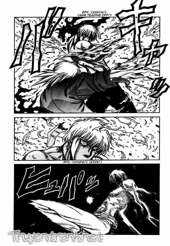 Hellsing - Chapter 86 - Trang 14