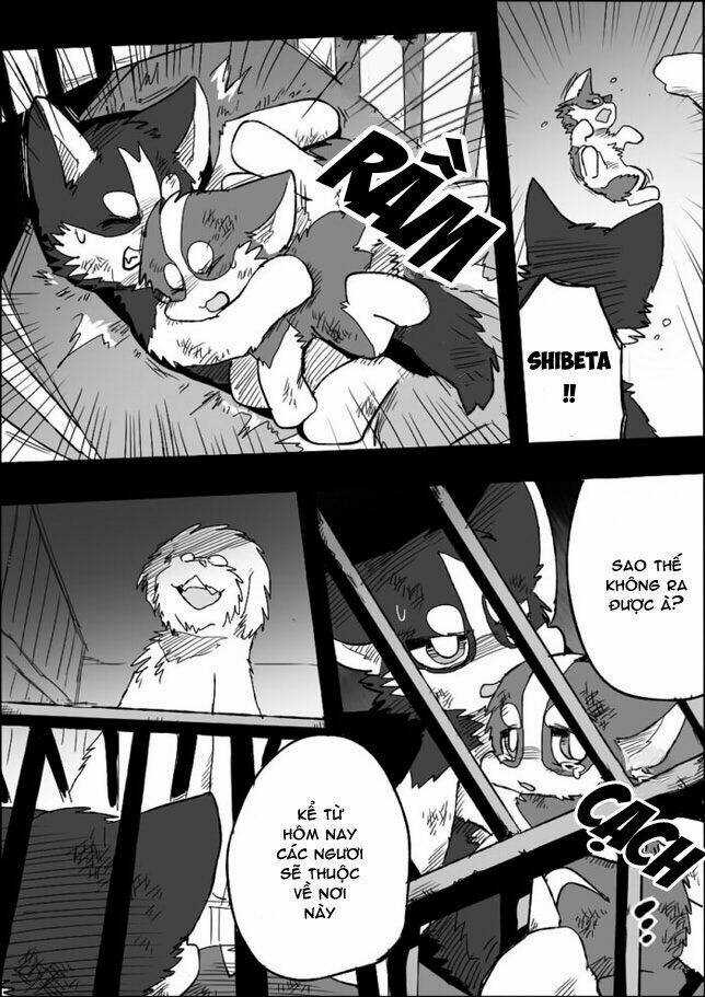 Helper Shibeta - Chapter 5 - Trang 11