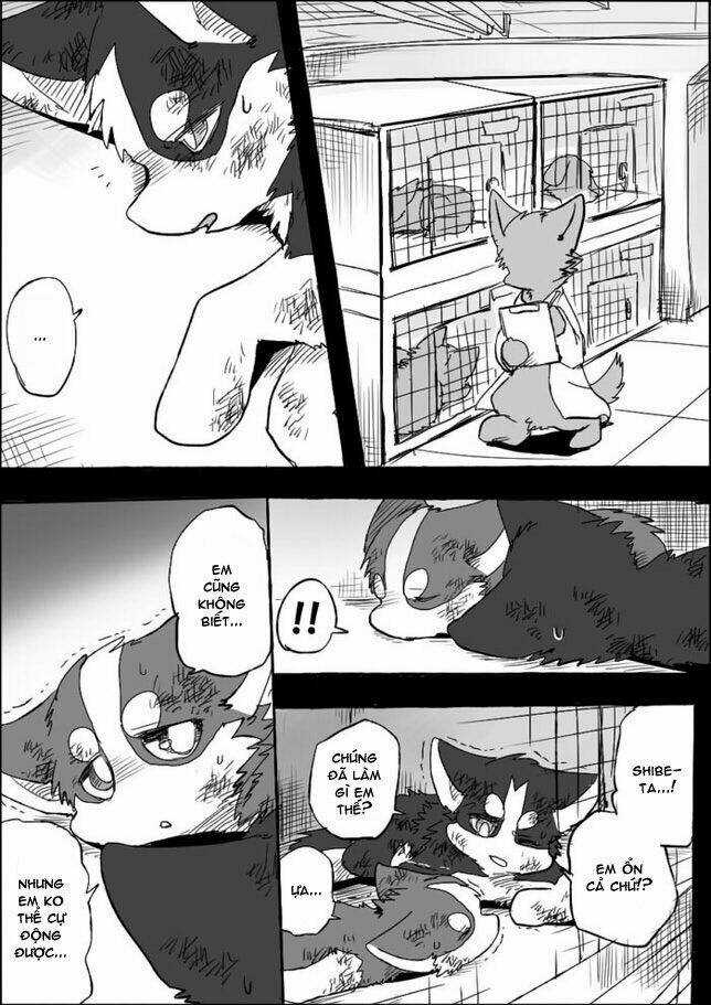 Helper Shibeta - Chapter 5 - Trang 23