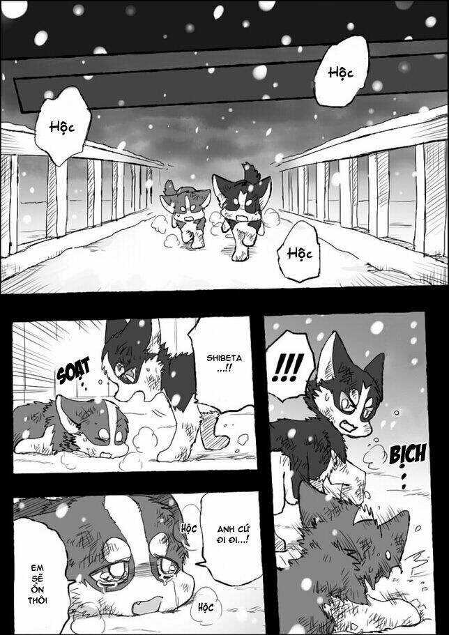 Helper Shibeta - Chapter 5 - Trang 28