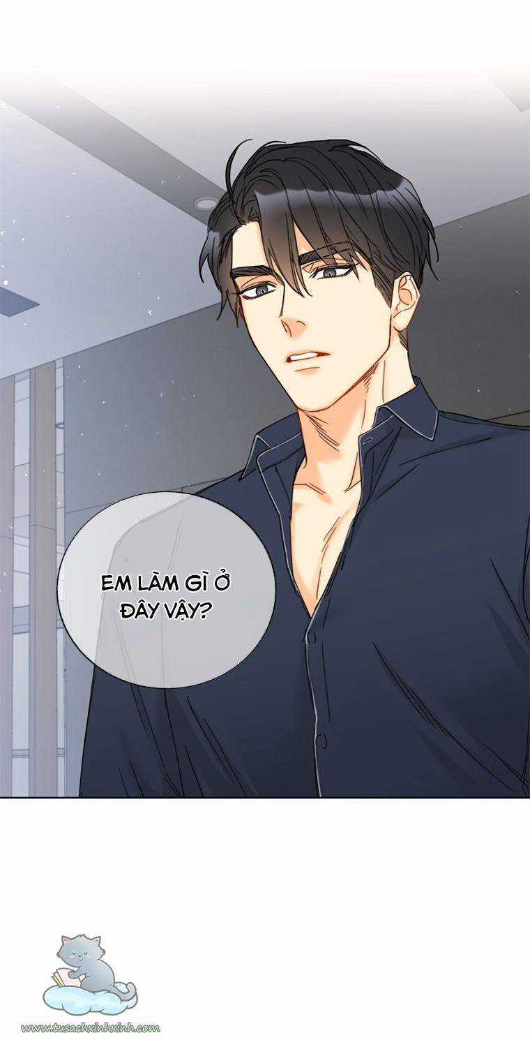 Hẹn Hò Chốn Công Sở - Chapter 113 - Trang 8