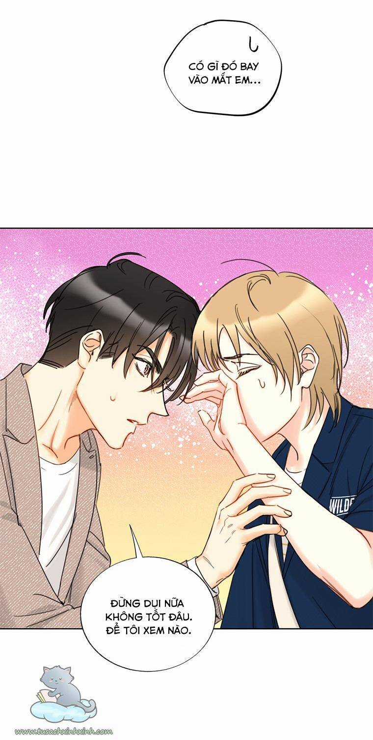 Hẹn Hò Chốn Công Sở - Chapter 115 - Trang 33