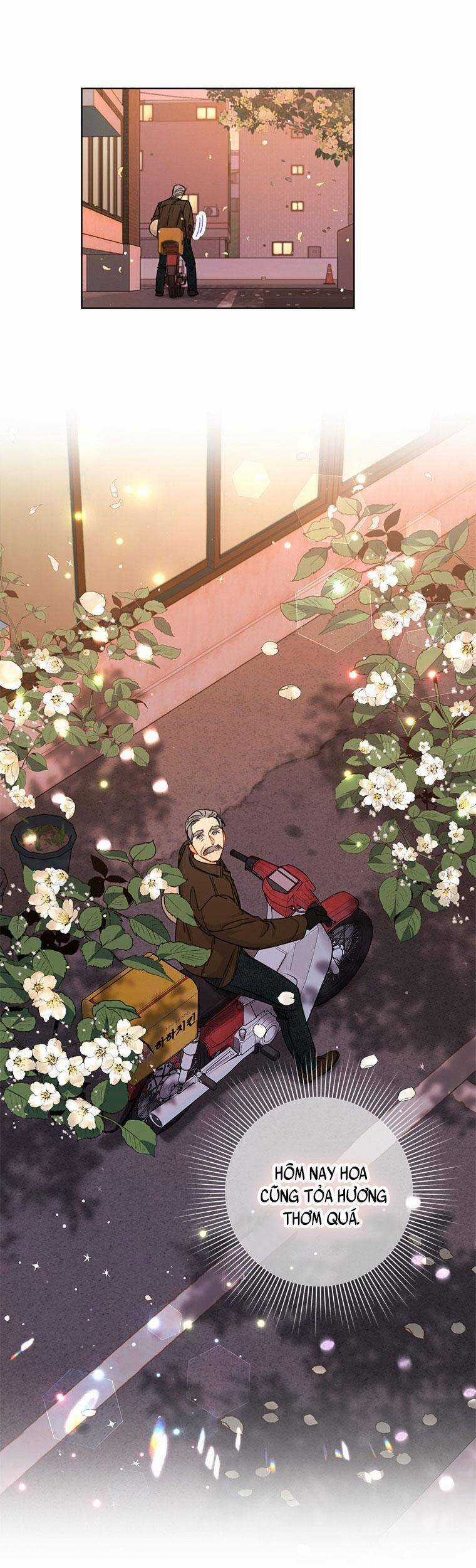 Hẹn Hò Chốn Công Sở - Chapter 116 - Trang 30