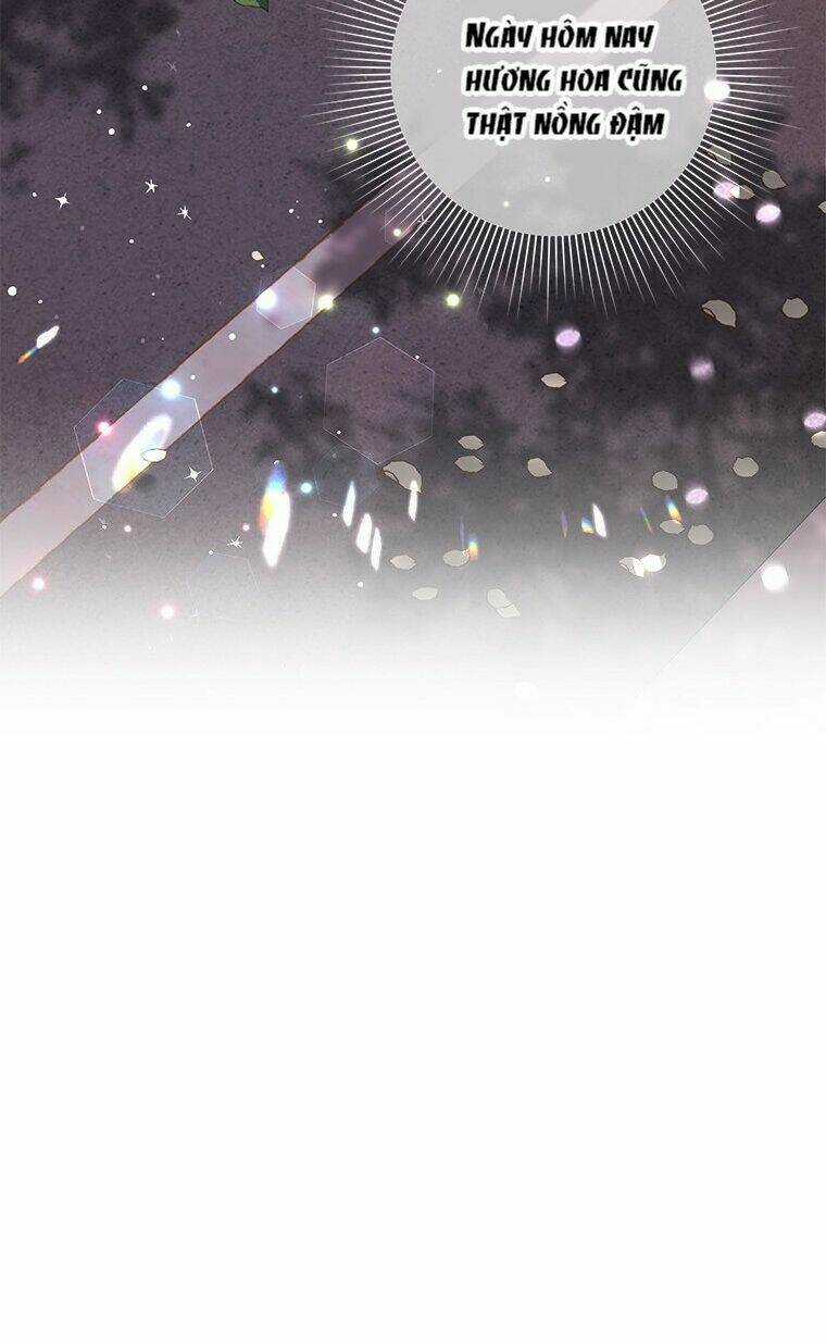 Hẹn Hò Nơi Công Sở - Chapter 116 - Trang 35