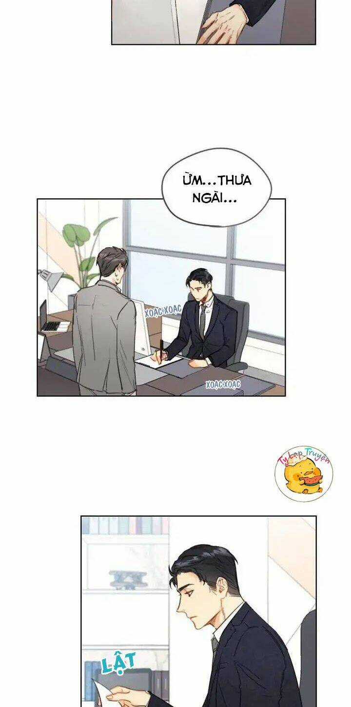 Hẹn Hò Nơi Công Sở - Chapter 3 - Trang 3