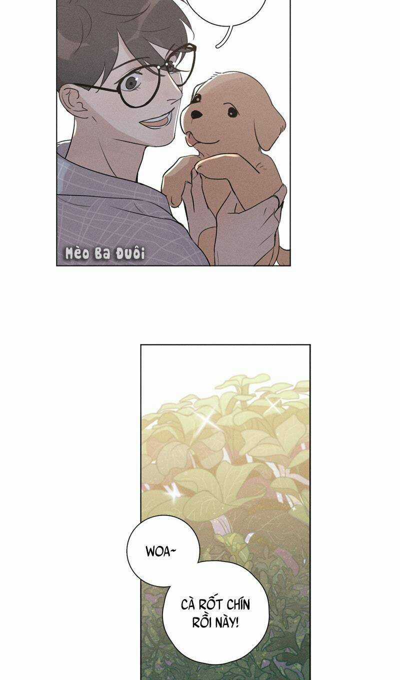 Here U Are - Chapter 134 - Trang 3