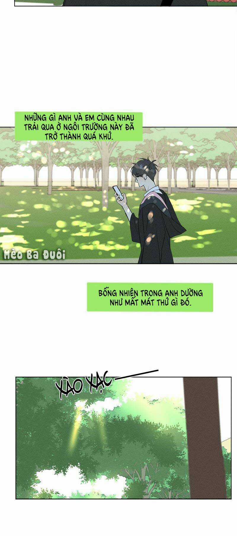 Here U Are - Chapter 137 - Trang 29