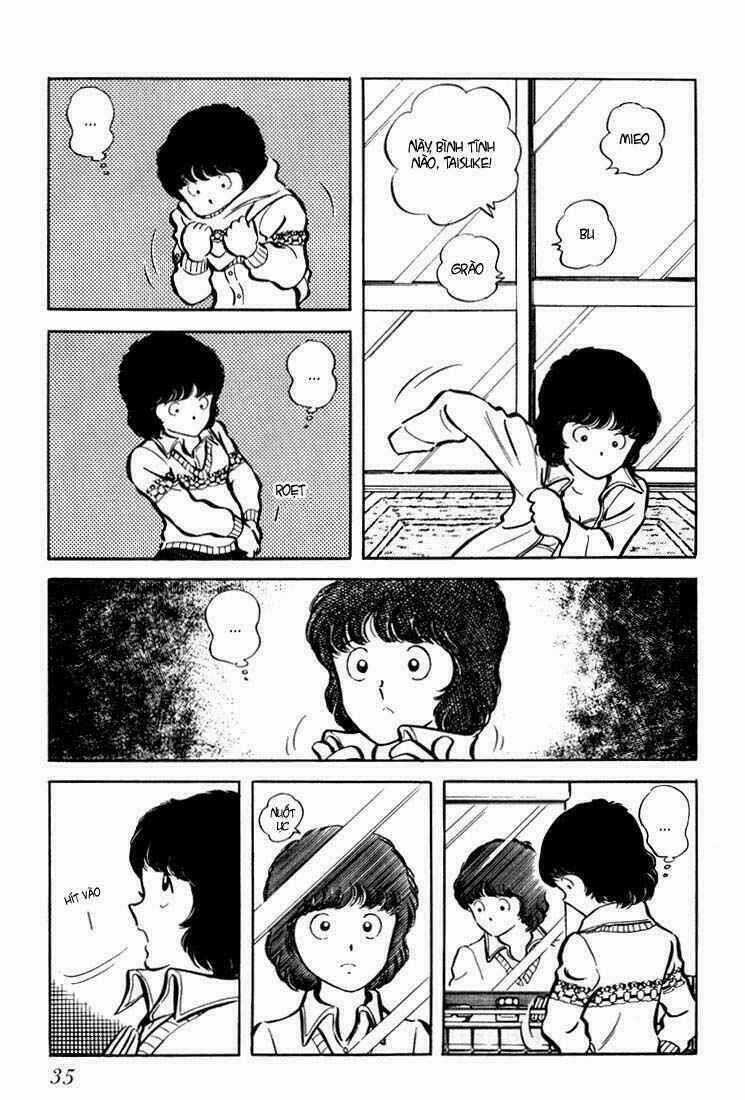 Hiatari Ryoukou! (Hoa Nắng) - Chapter 1 - Trang 31