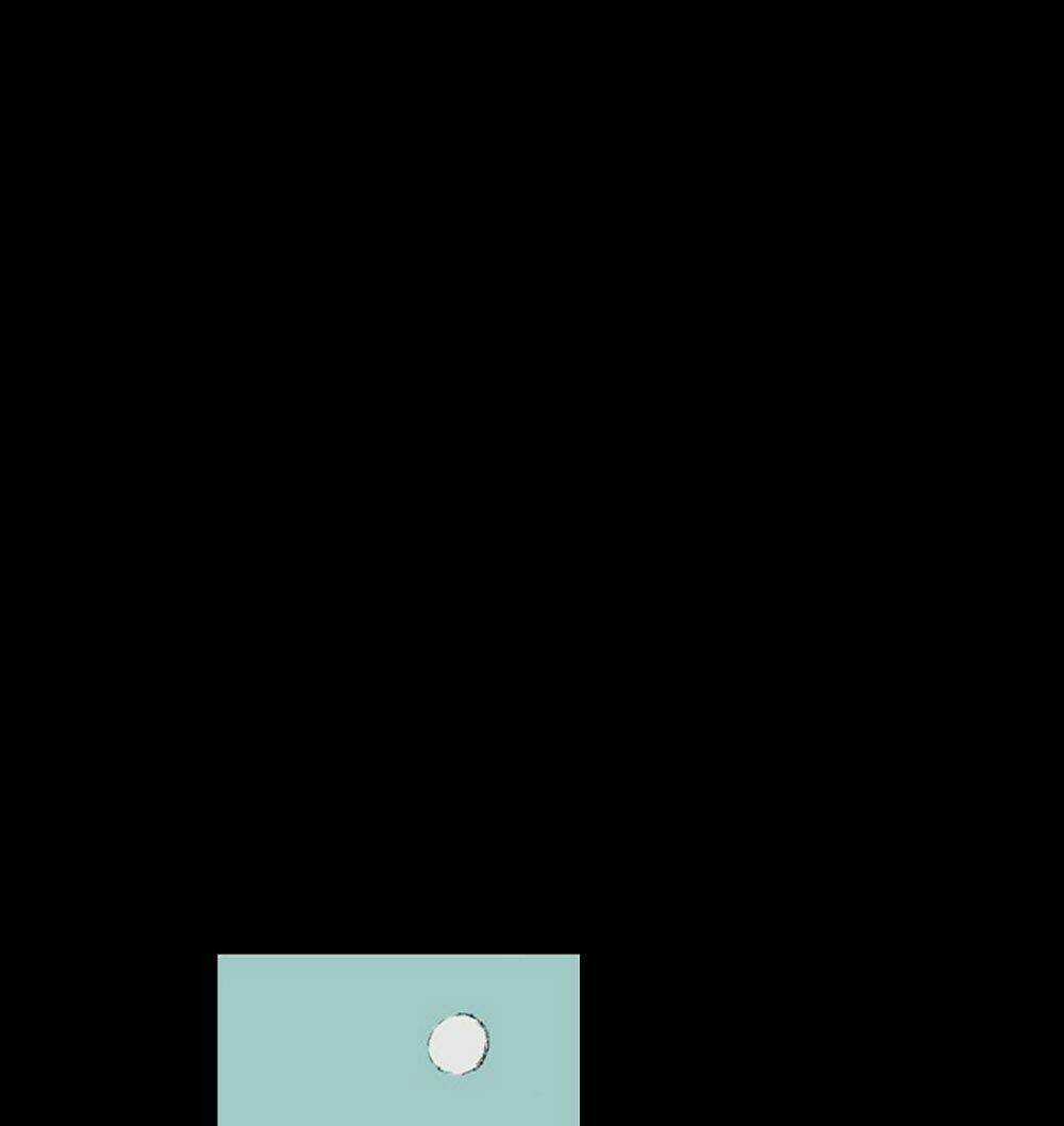 Hiệu Điện Hãi Hùng - Chapter 3 - Trang 27