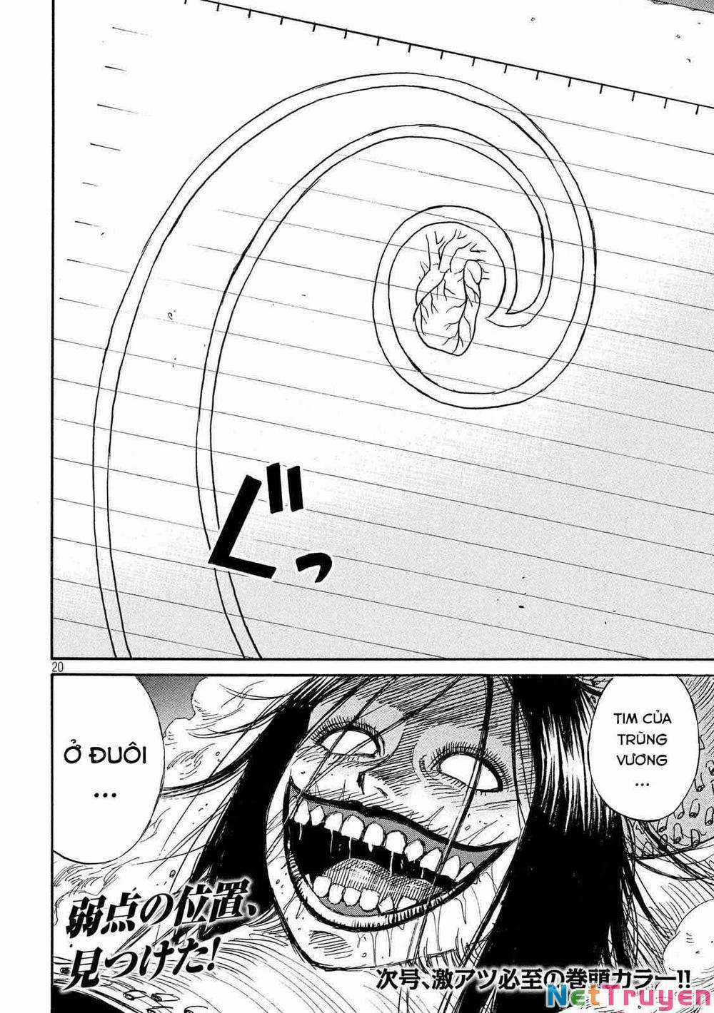 Higanjima SS3 - Chapter 247 - Trang 19