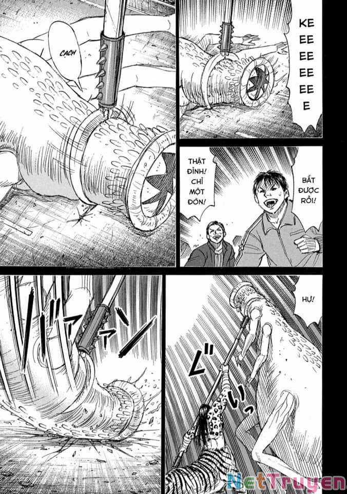 Higanjima SS3 - Chapter 273 - Trang 12