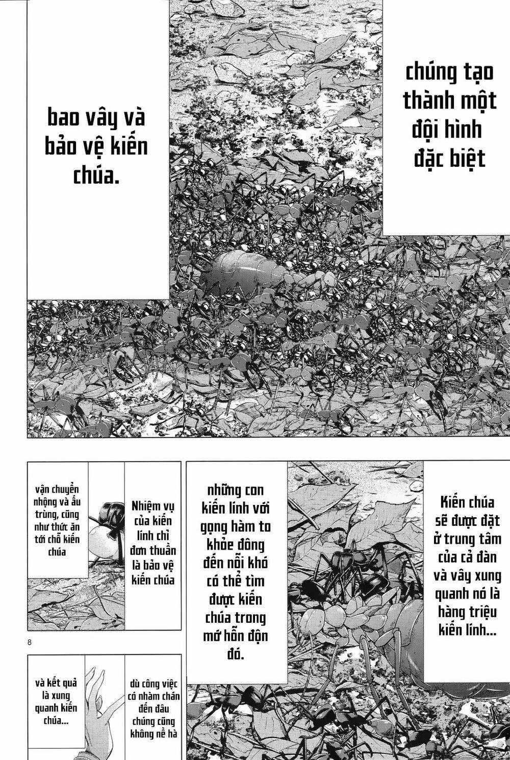 Himenospia - Chapter 31 - Trang 8