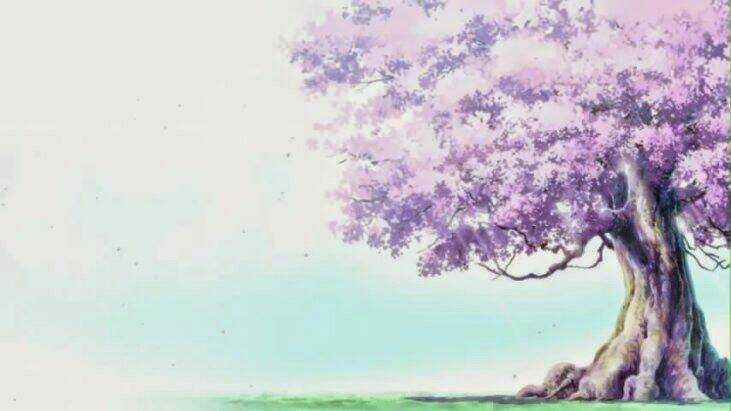 Hình Đẹp Wallpaper - Chapter 1 - Trang 23