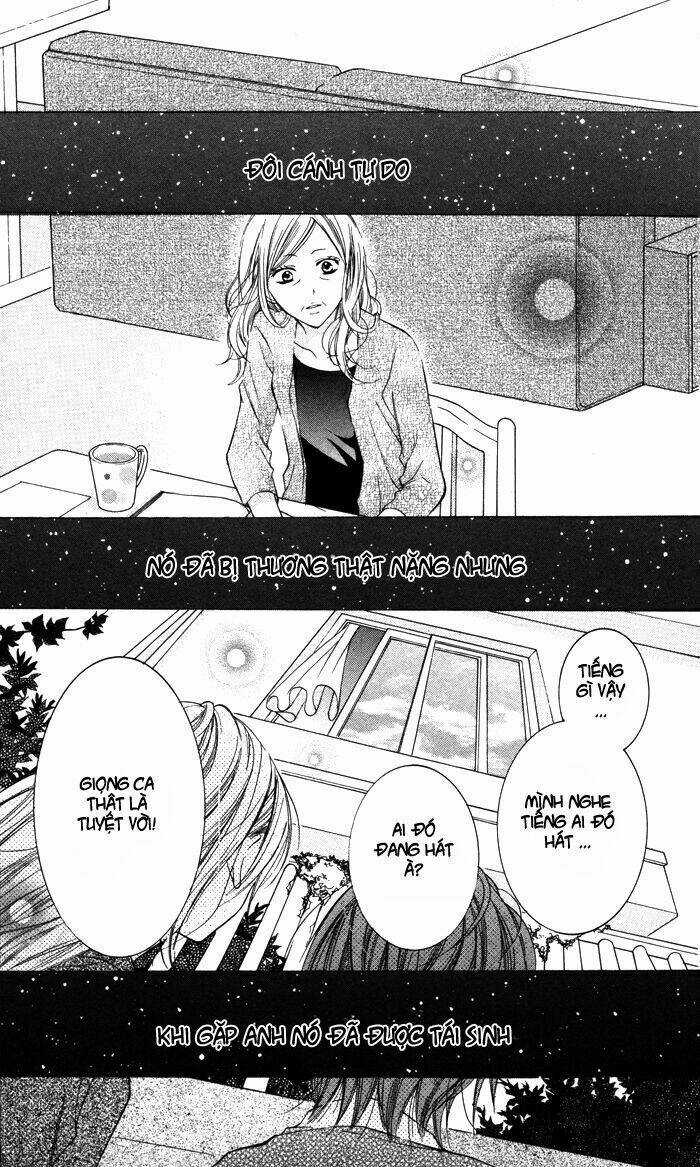 Hitoribocchi wa Samishikute - Chapter 2 - Trang 18