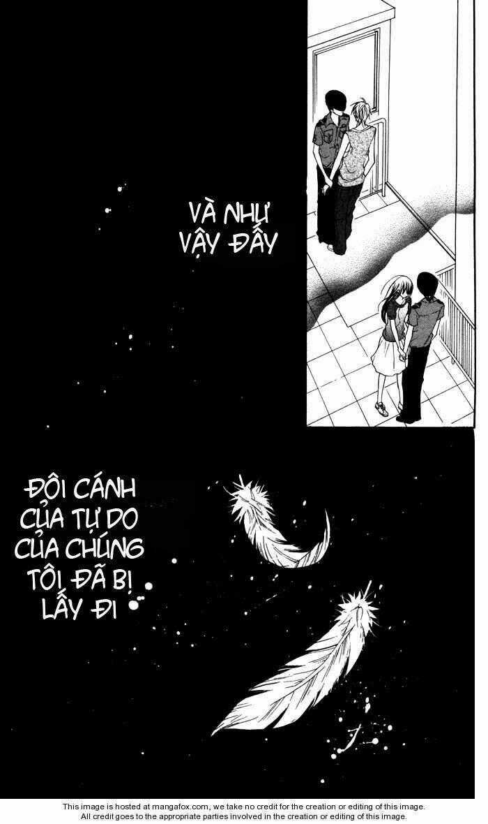 Hitoribocchi wa Samishikute - Chapter 9 - Trang 31