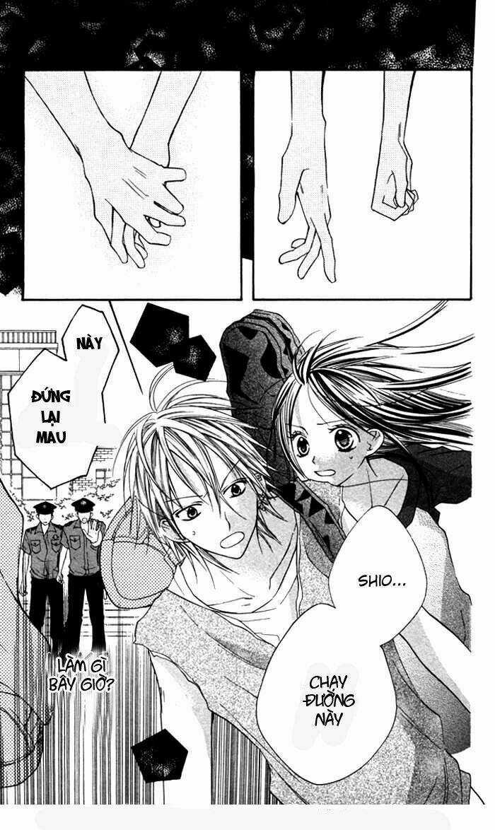 Hitoribocchi wa Samishikute - Chapter 9 - Trang 10