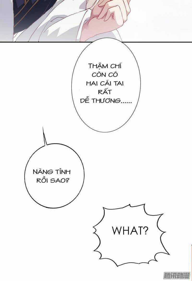 Hồ Đế Độc Yêu - Chapter 3 - Trang 16
