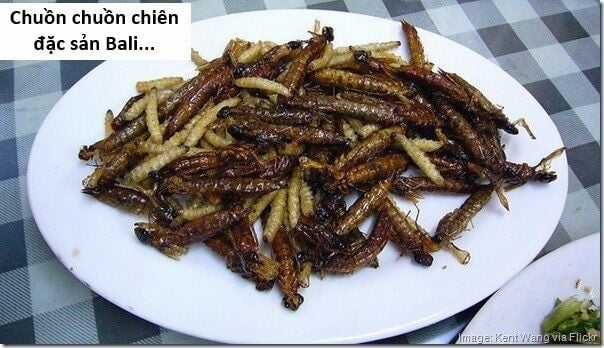 Hổ Đến Chơi Nhà - Chapter 118 - Trang 22