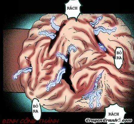 Hồ Sơ Bệnh Nhân - Chapter 11 - Trang 10