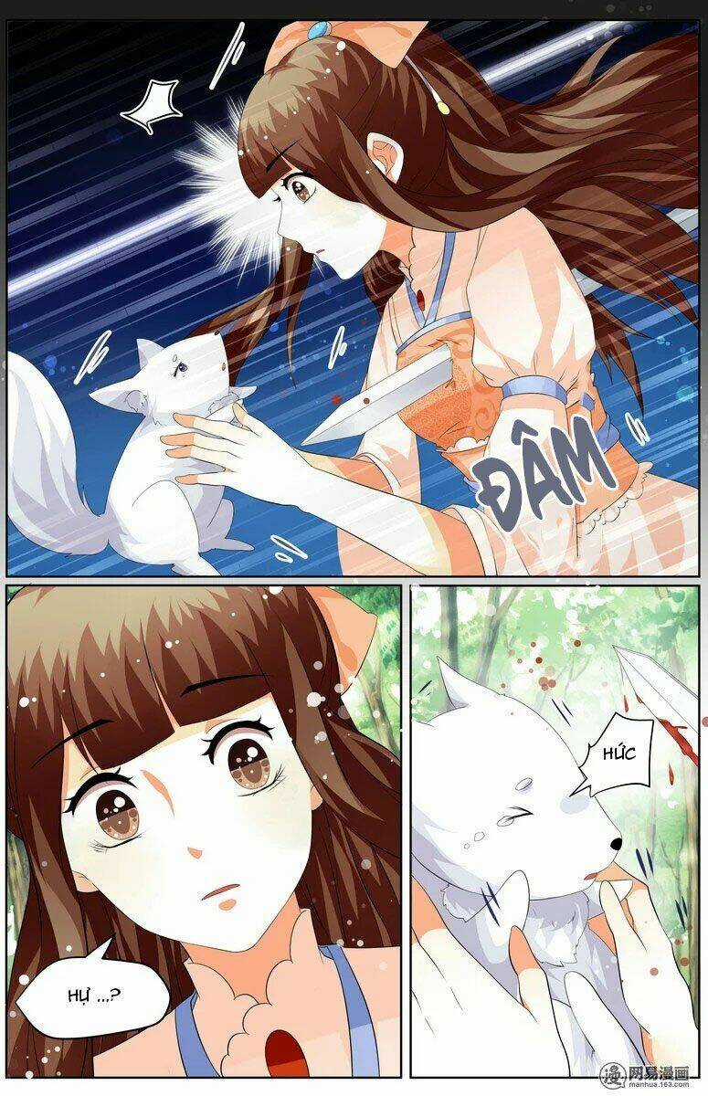 Hồ Thoại Hồ Thuyết - Chapter 27 - Trang 10