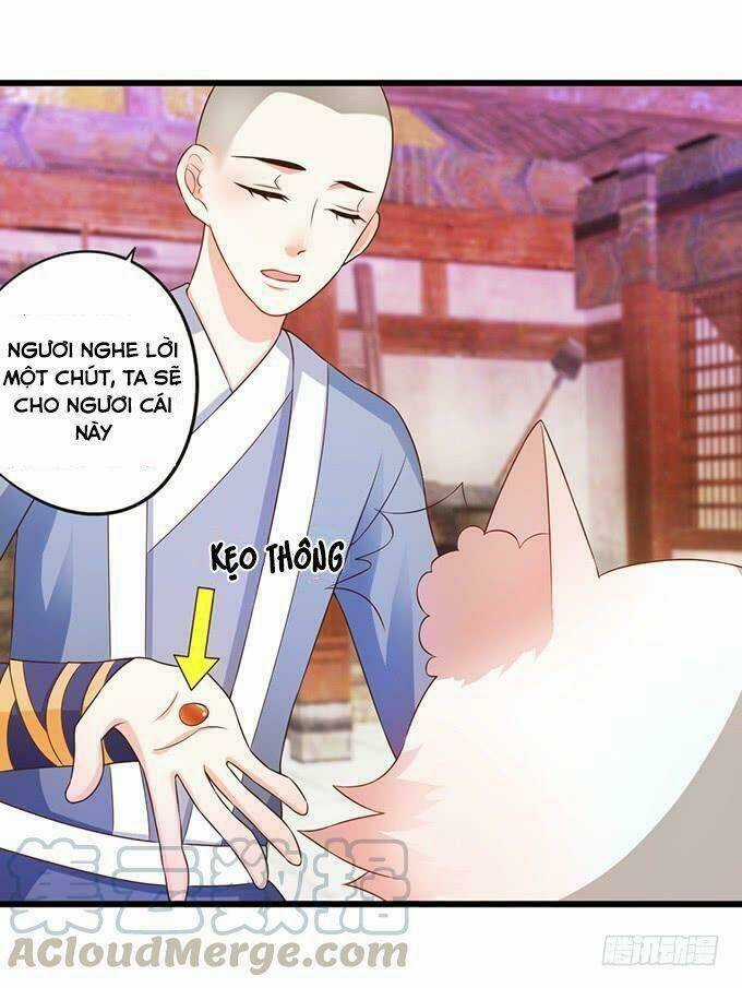 HỒ TIÊN HUNG BẠO - Chapter 64 - Trang 29