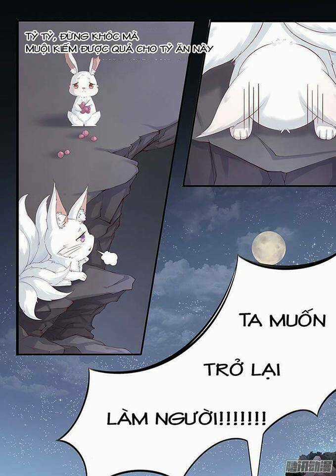 Hồ Yêu Thái Tử Phi - Chapter 1 - Trang 11