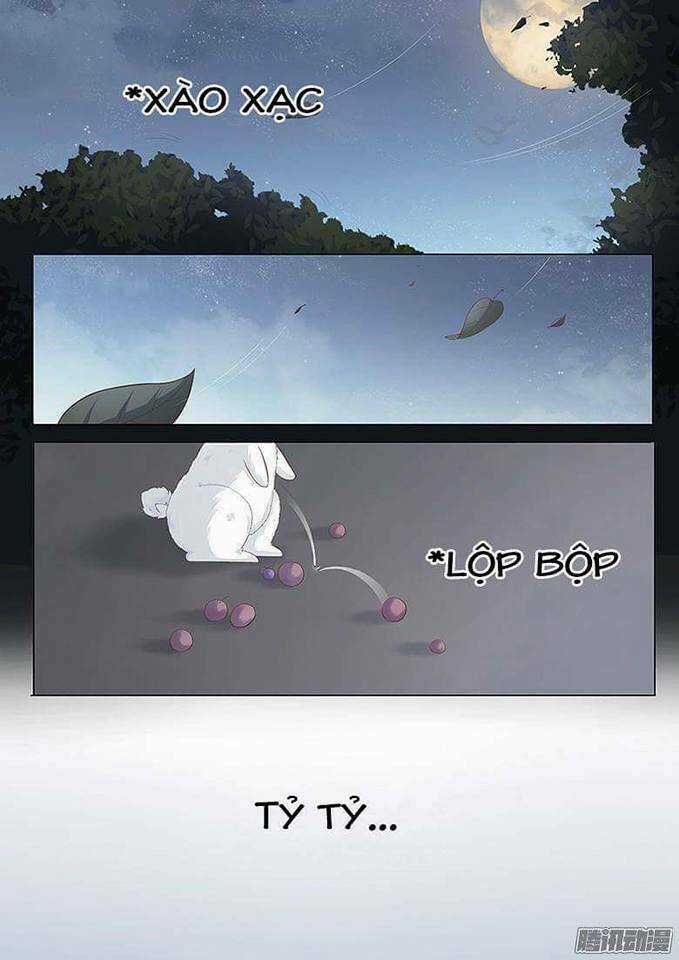 Hồ Yêu Thái Tử Phi - Chapter 1 - Trang 12