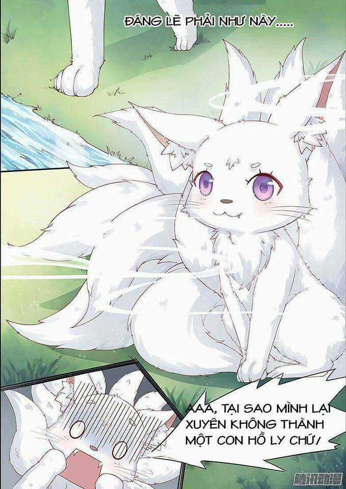 Hồ Yêu Thái Tử Phi - Chapter 1 - Trang 4