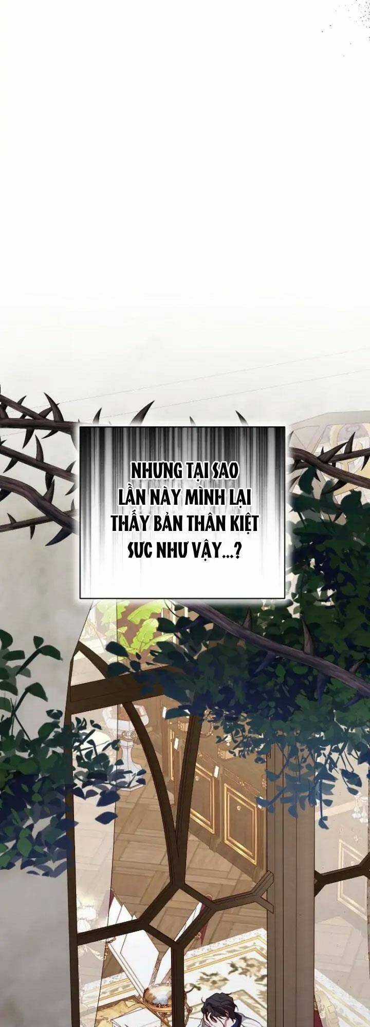 Hoa Dã Thú - Chapter 30 - Trang 37