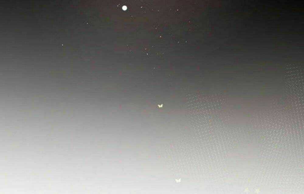 Hoa Dữ Ẩn Nặc Chi Ô - Chapter 39 - Trang 4