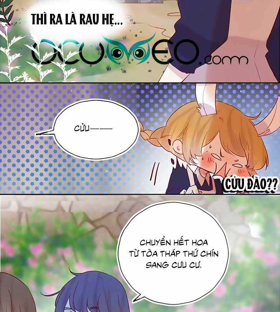 Hoa Dữ Ẩn Nặc Chi Ô - Chapter 82 - Trang 5