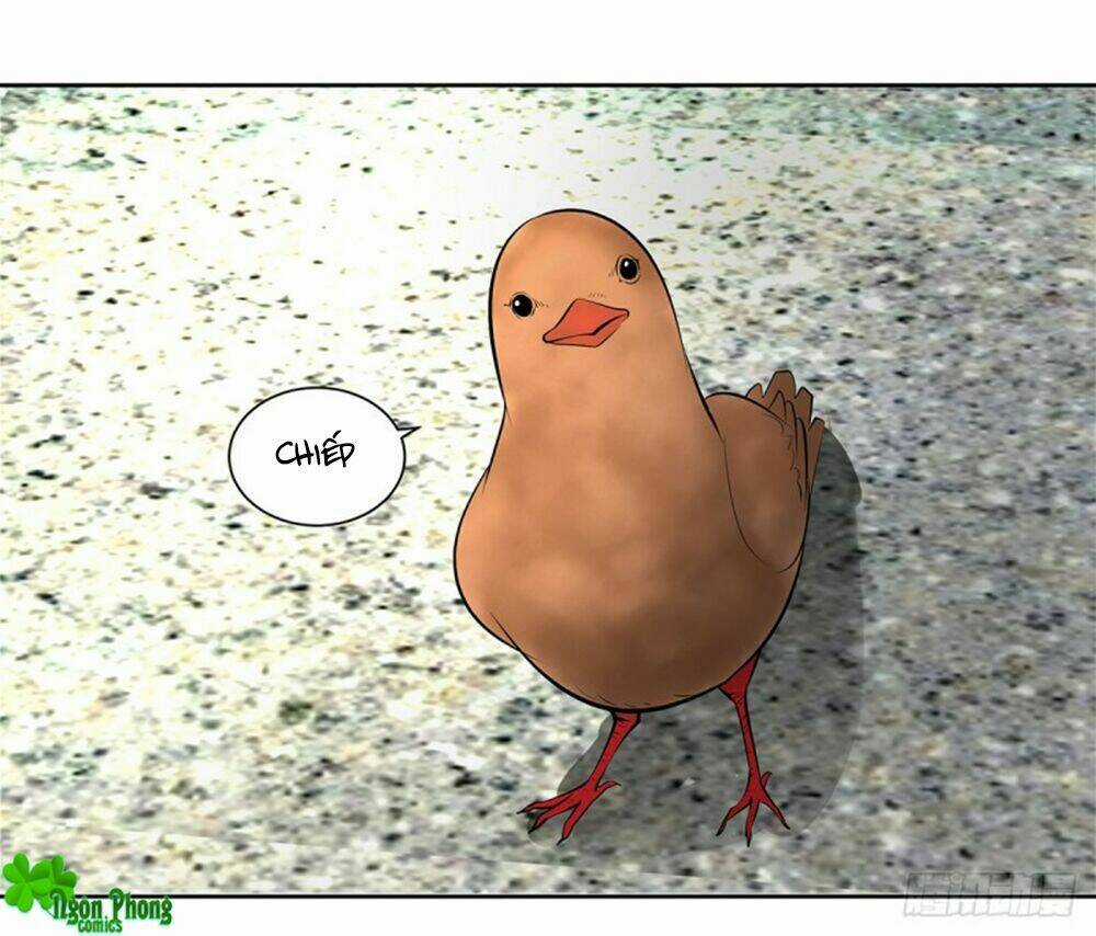 Hỏa Hồ - Chapter 45 - Trang 14