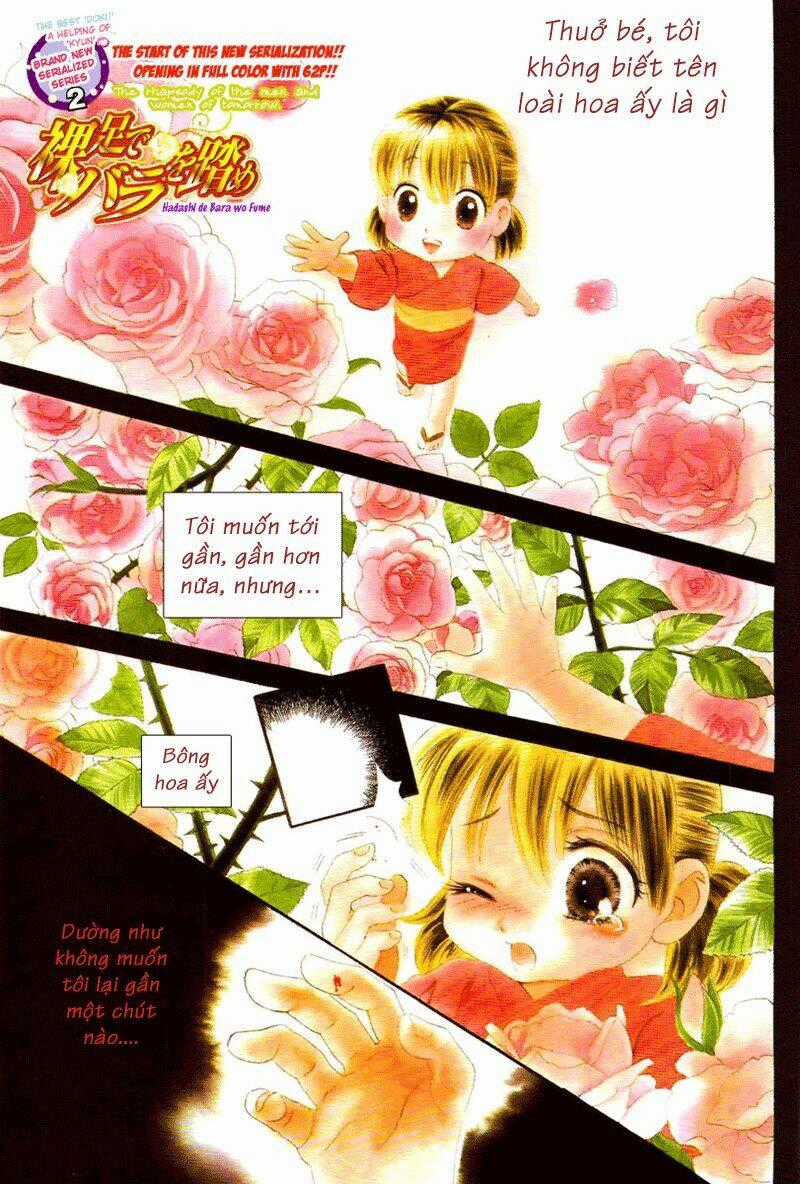 Hoa Hồng Đỏ - Chapter 1 - Trang 2