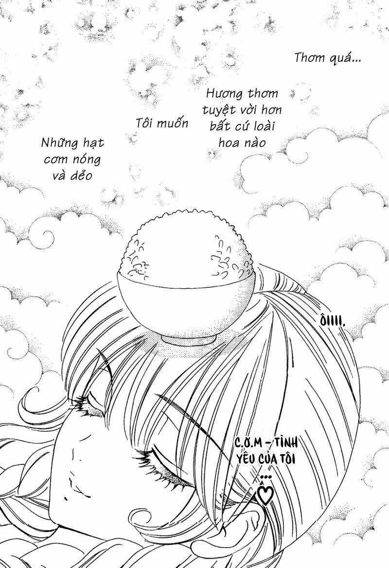 Hoa Hồng Đỏ - Chapter 1 - Trang 3