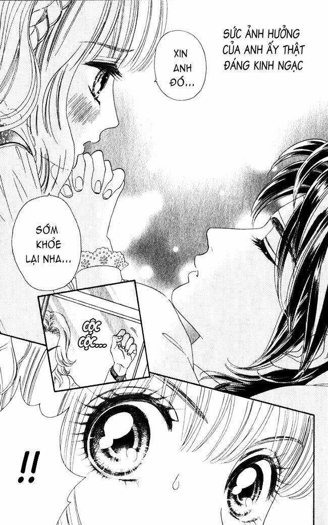 Hoa Hồng Đỏ - Chapter 15 - Trang 15