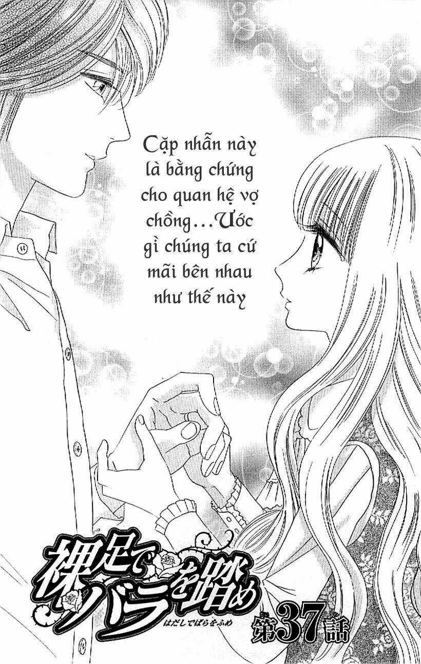 Hoa Hồng Đỏ - Chapter 37 - Trang 3