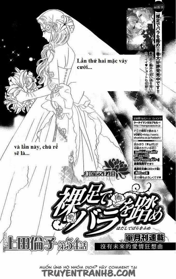 Hoa Hồng Đỏ - Chapter 54 - Trang 1