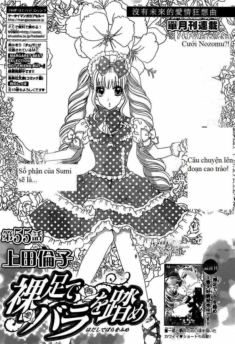 Hoa Hồng Đỏ - Chapter 55 - Trang 1